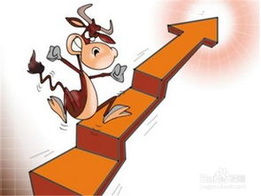 中科三環(huán) 聚焦計算機軟硬件技術(shù)開發(fā)的高科技企業(yè)